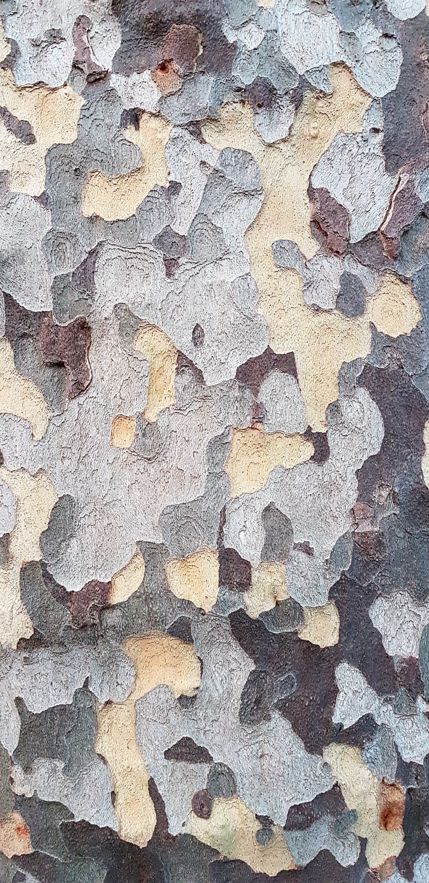 Weißes Braunes Und Blaues Abstraktes Gemälde. Wallpaper in 1440x2960 Resolution