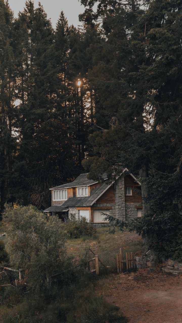 Forest, House, Home, Tree, Building. Wallpaper in 720x1280 Resolution