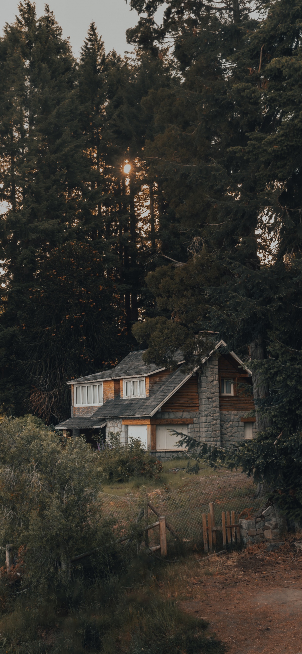 Forêt, Maison, Bâtiment, Cottage, Zone Rurale. Wallpaper in 1242x2688 Resolution