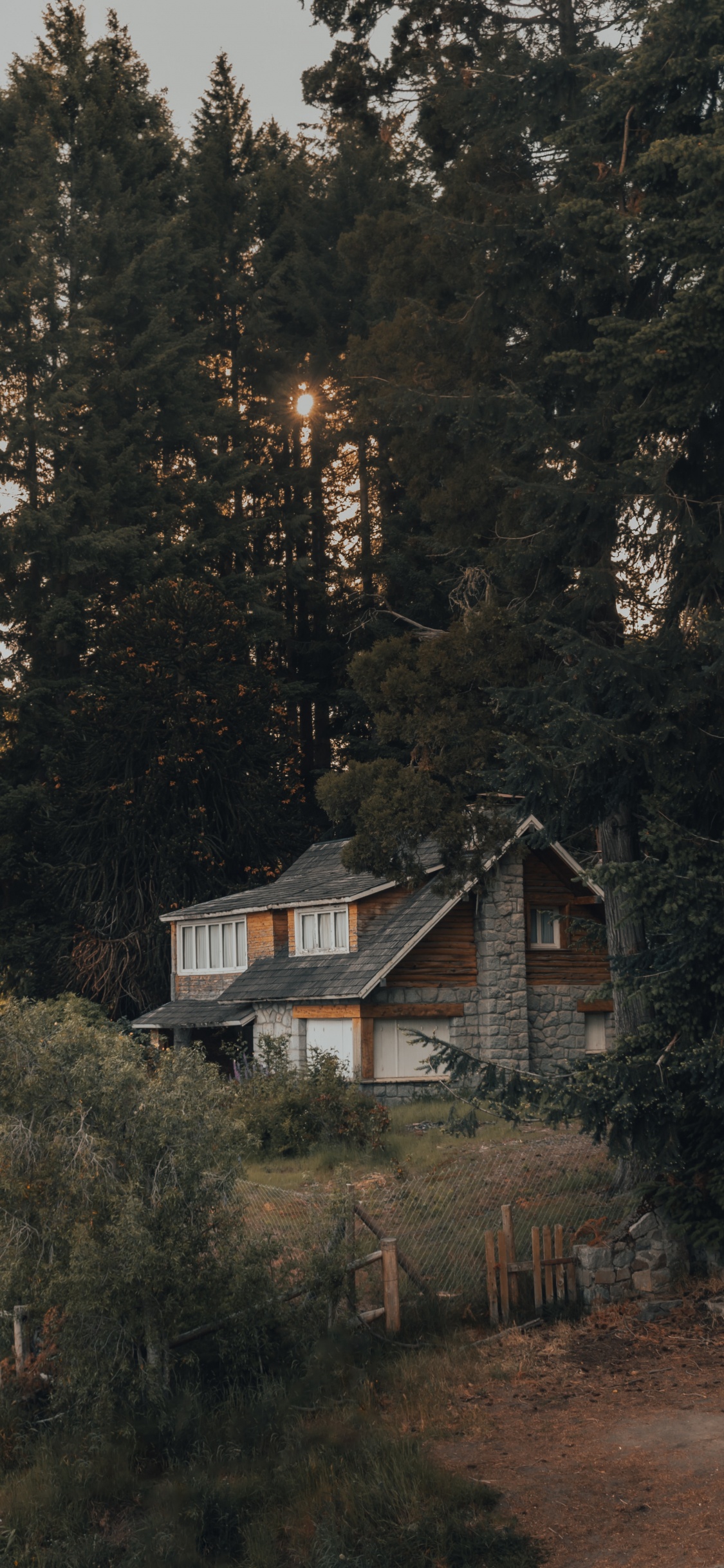 Wald, Haus, Startseite, Baum, Gebäude. Wallpaper in 1125x2436 Resolution