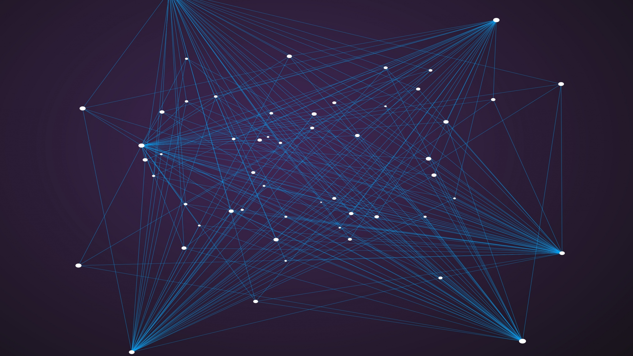 Guirlandes Lumineuses Blanches et Noires. Wallpaper in 2560x1440 Resolution