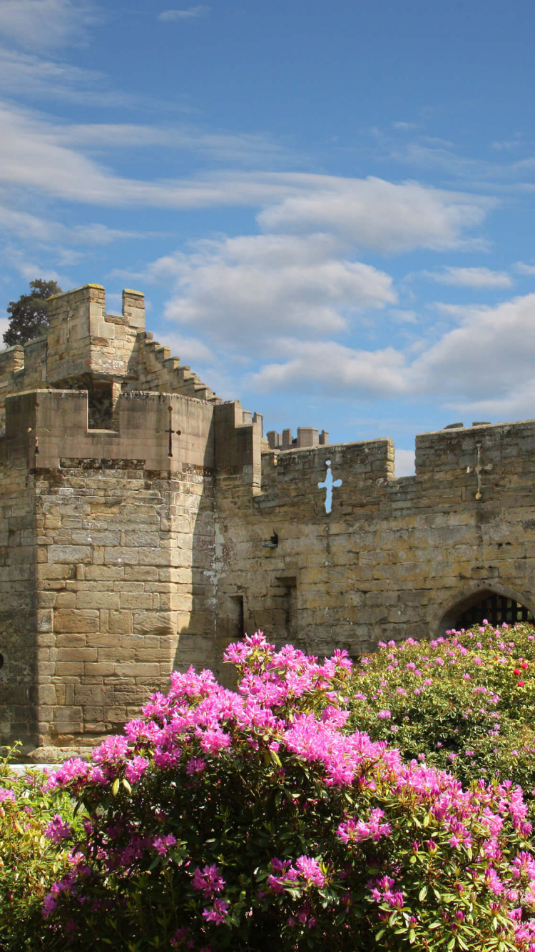 Brown Concrete Castle Under Blue Sky During Daytime. Wallpaper in 750x1334 Resolution