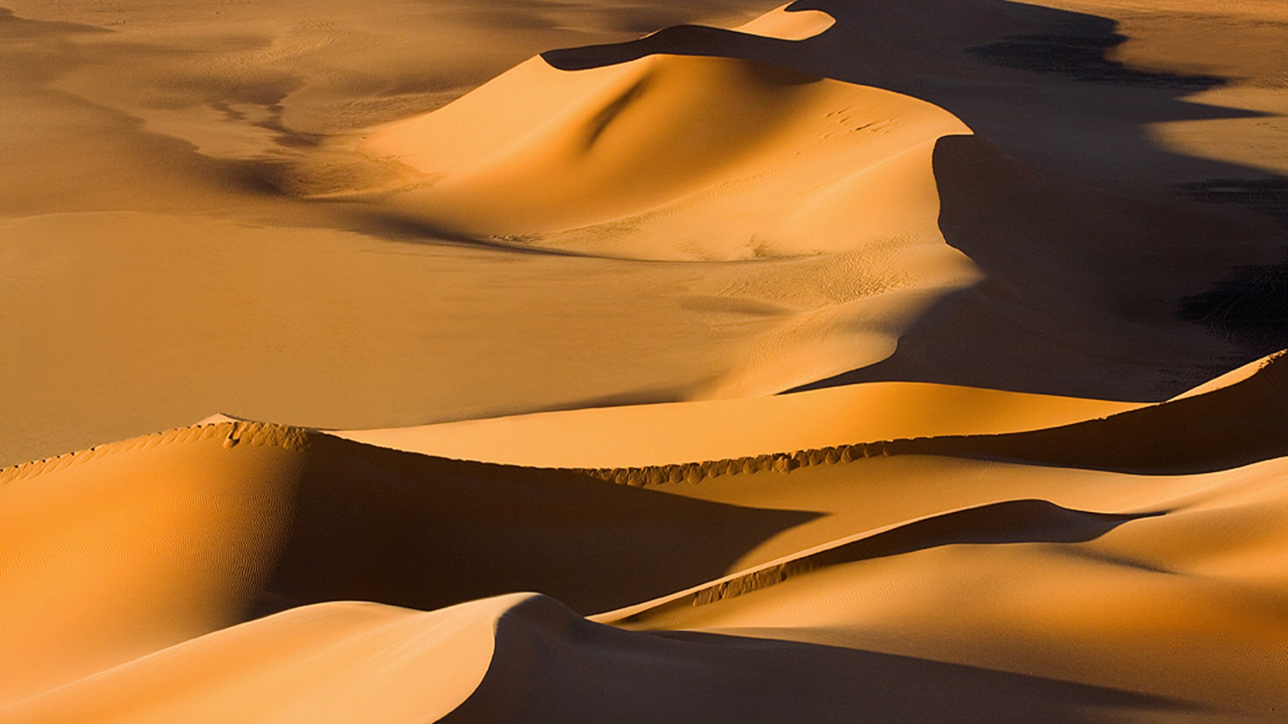 Desert Under Blue Sky During Daytime. Wallpaper in 2560x1440 Resolution
