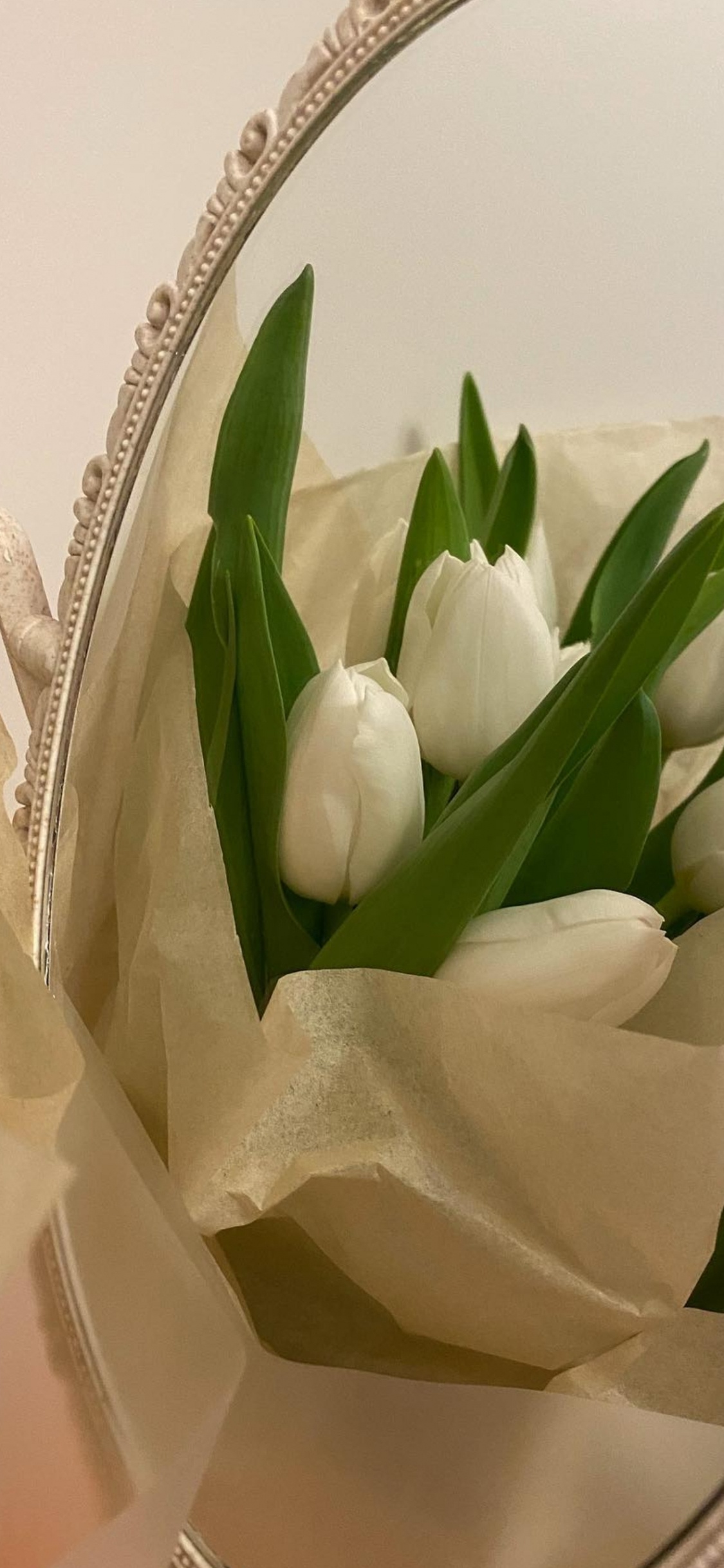 Artificial Flower, Flower, Plant, Petal, Flowerpot. Wallpaper in 1125x2436 Resolution