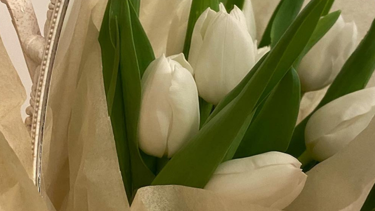 Artificial Flower, Flower, Plant, Petal, Flowerpot. Wallpaper in 1280x720 Resolution