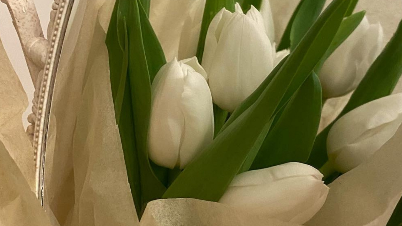 Artificial Flower, Flower, Plant, Petal, Flowerpot. Wallpaper in 1366x768 Resolution