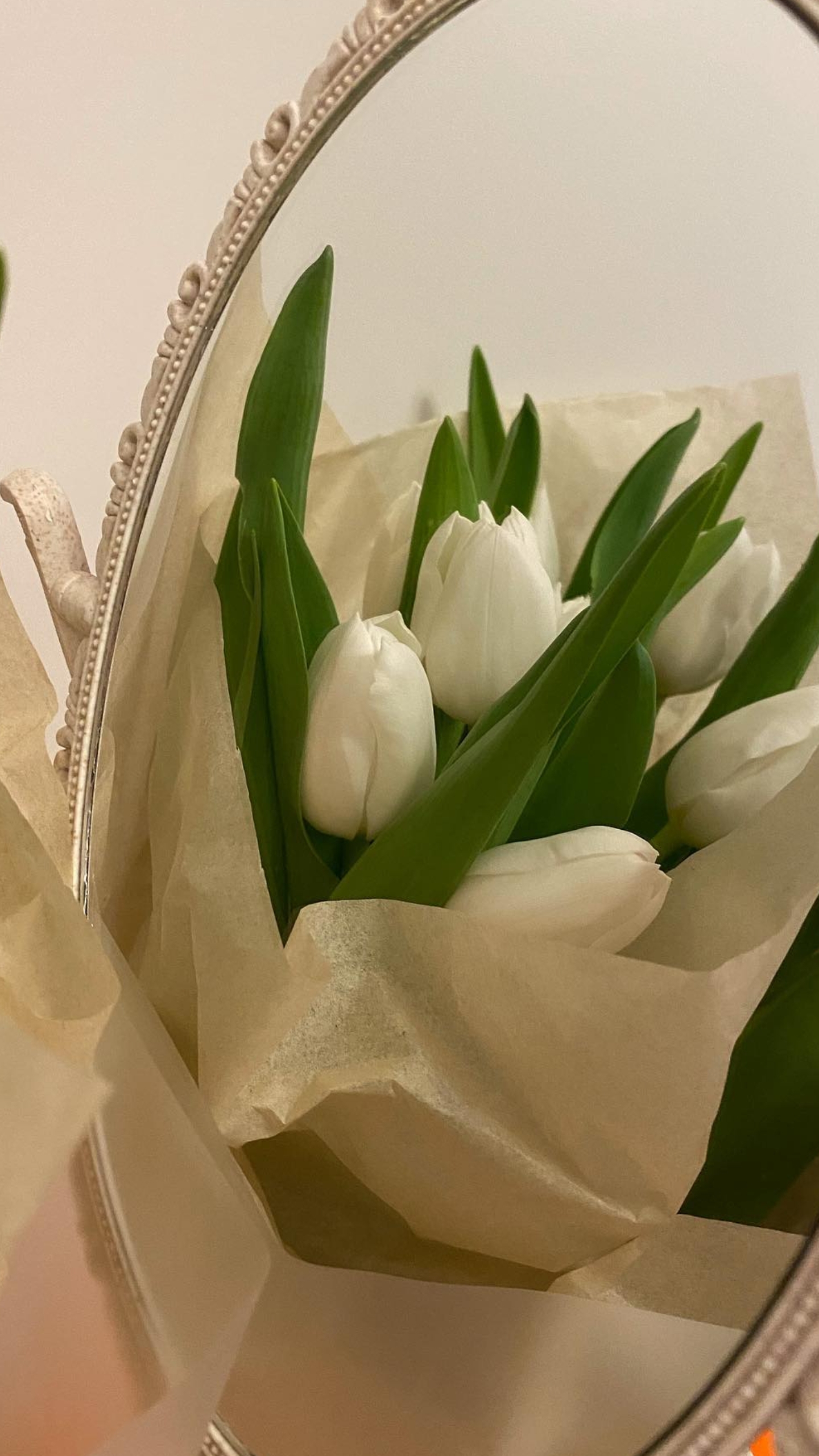 Artificial Flower, Flower, Plant, Petal, Flowerpot. Wallpaper in 1440x2560 Resolution