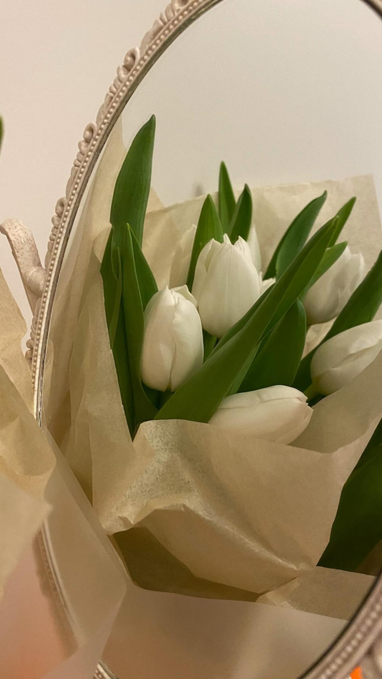 Artificial Flower, Flower, Plant, Petal, Flowerpot. Wallpaper in 750x1334 Resolution