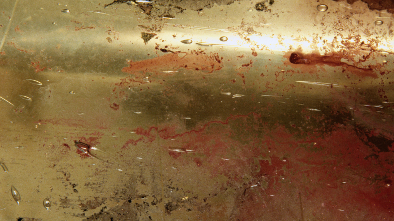 Water Droplets on Clear Glass. Wallpaper in 1366x768 Resolution