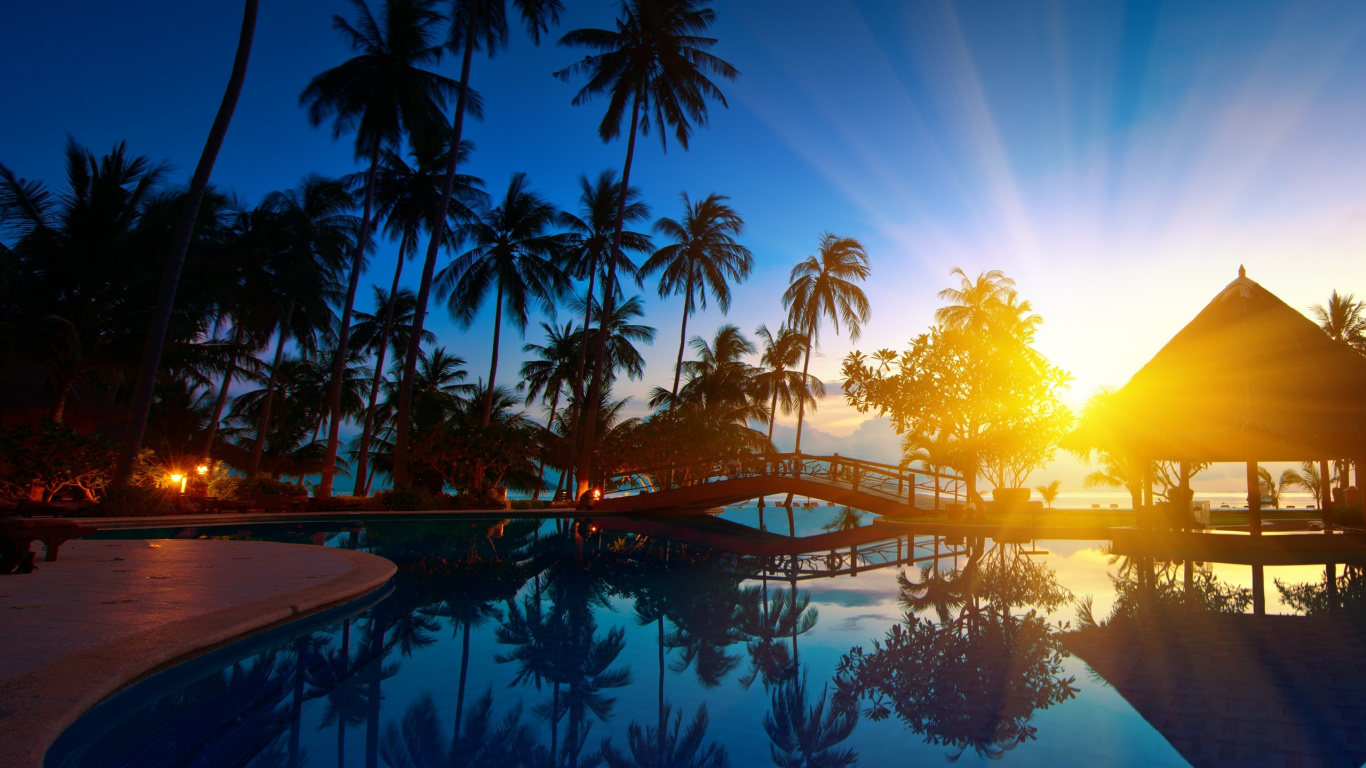 Palm Trees Near Swimming Pool During Sunset. Wallpaper in 1366x768 Resolution