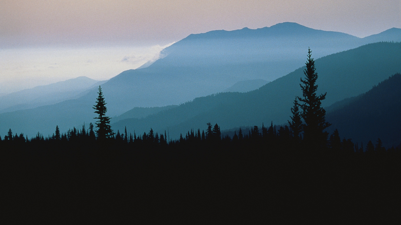 Silhouette of Trees and Mountains During Daytime. Wallpaper in 1366x768 Resolution