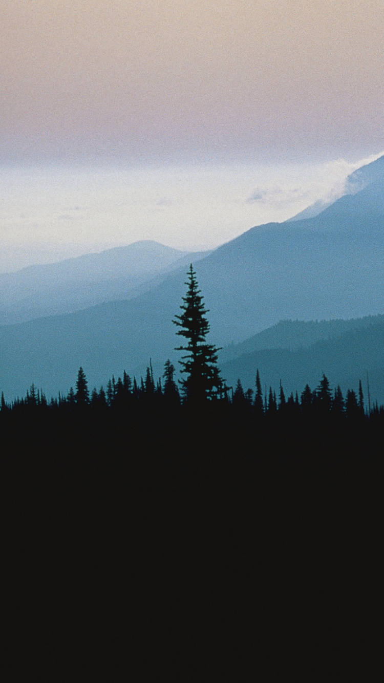 Silhouette of Trees and Mountains During Daytime. Wallpaper in 750x1334 Resolution