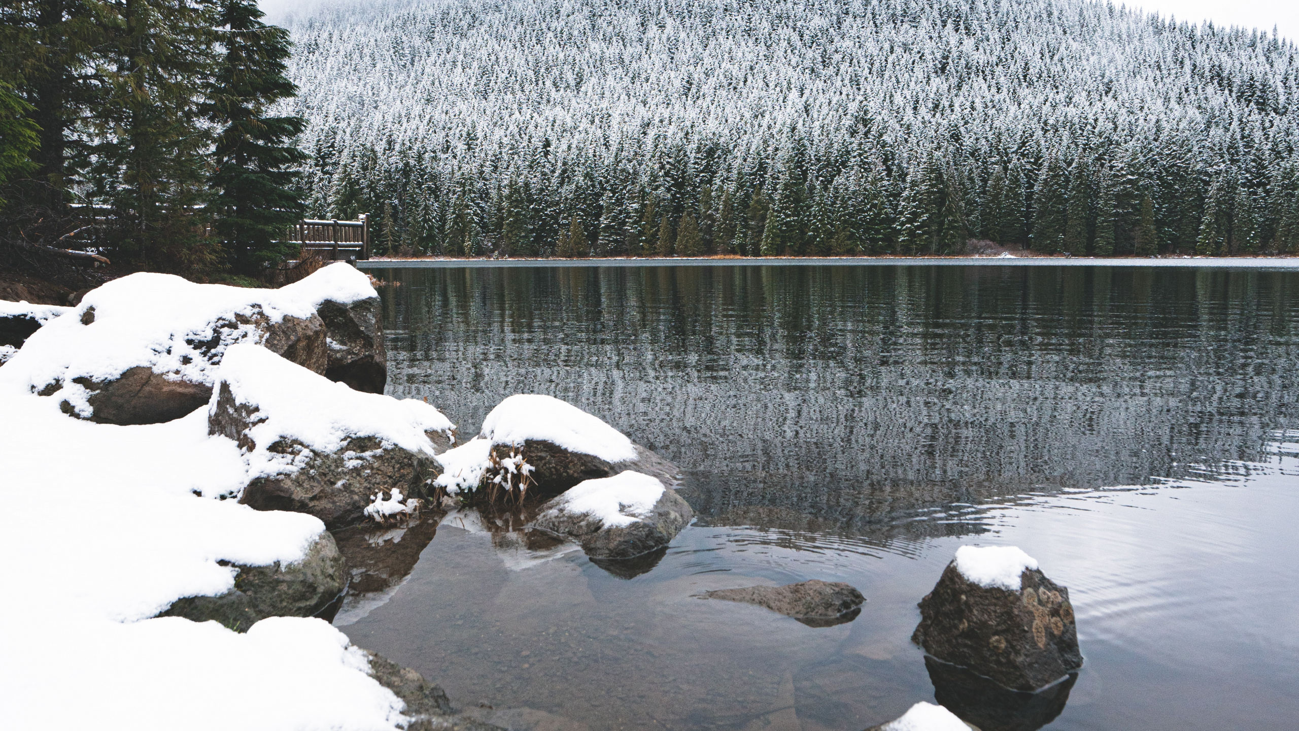 Montaña, Nieve, Invierno, Lago, Desierto. Wallpaper in 2560x1440 Resolution