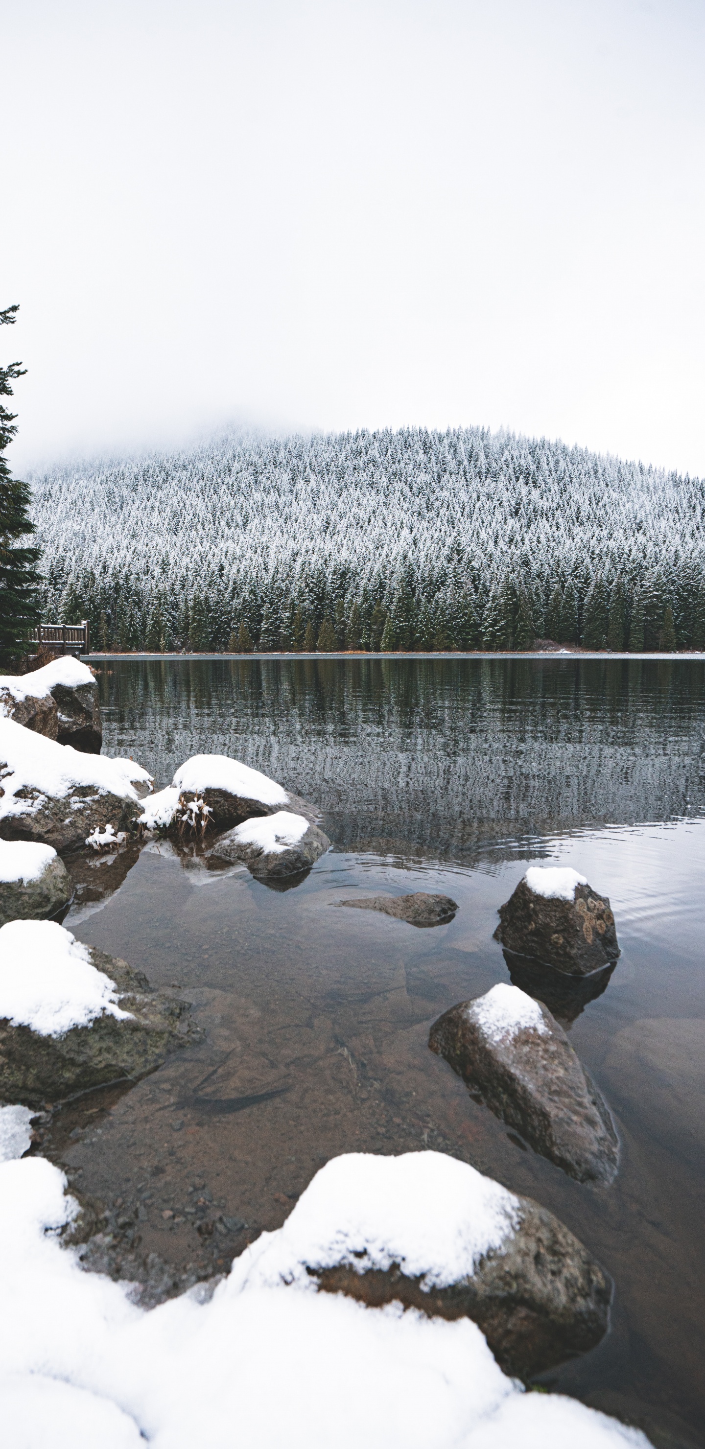 Neige, Hiver, Lac, Congélation, Paysage Naturel. Wallpaper in 1440x2960 Resolution