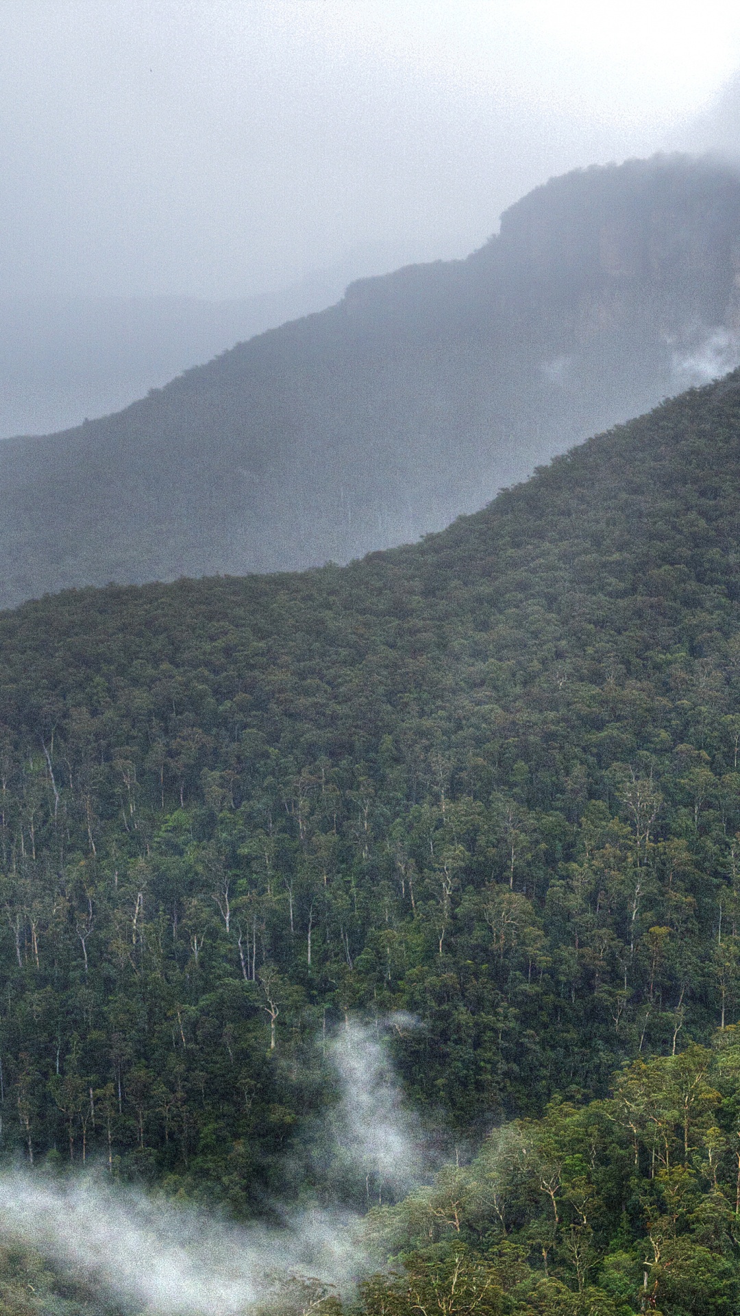Persona de Pie Sobre Una Formación Rocosa Cerca de Árboles Verdes Durante el Día. Wallpaper in 1080x1920 Resolution