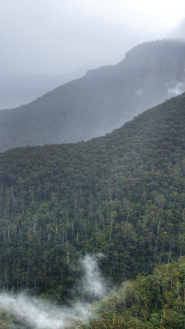 Persona de Pie Sobre Una Formación Rocosa Cerca de Árboles Verdes Durante el Día. Wallpaper in 720x1280 Resolution