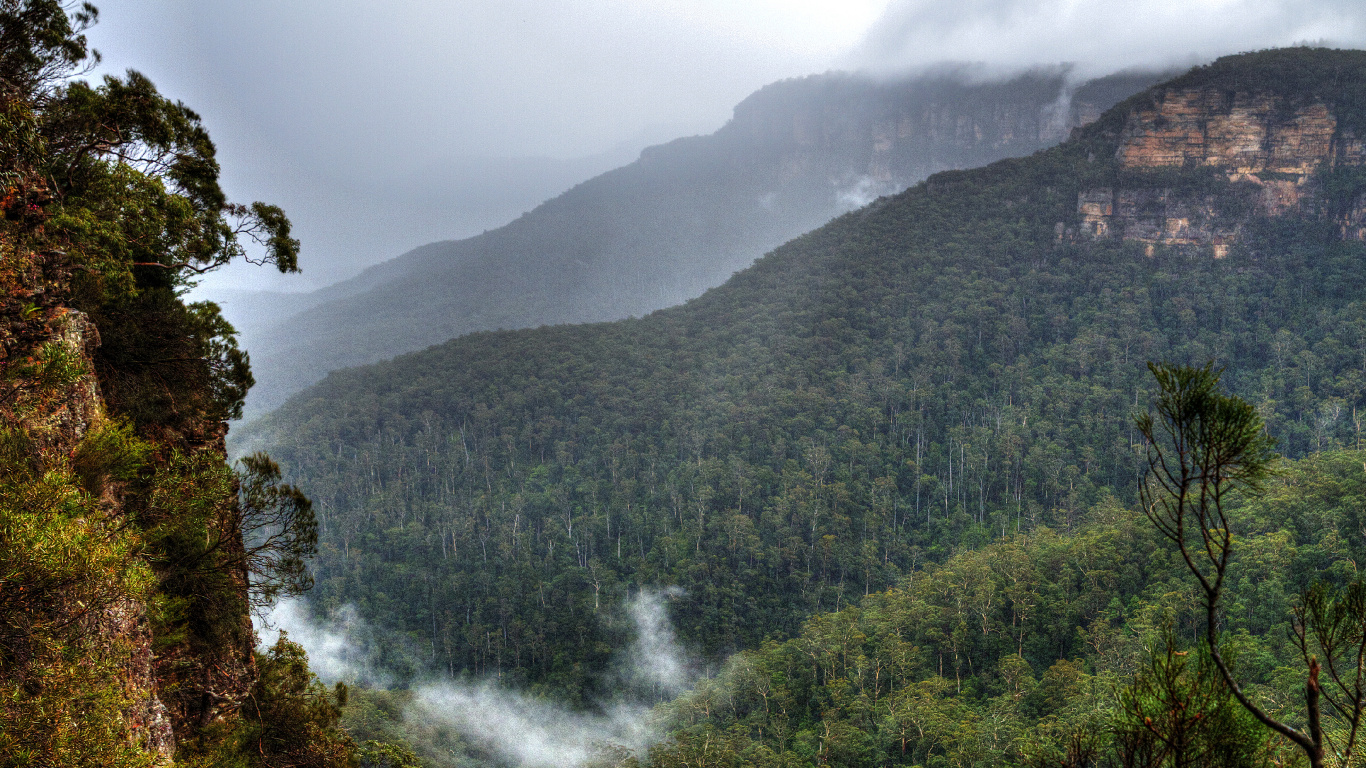Person, Die Tagsüber Auf Einer Felsformation in Der Nähe Grüner Bäume Steht. Wallpaper in 1366x768 Resolution