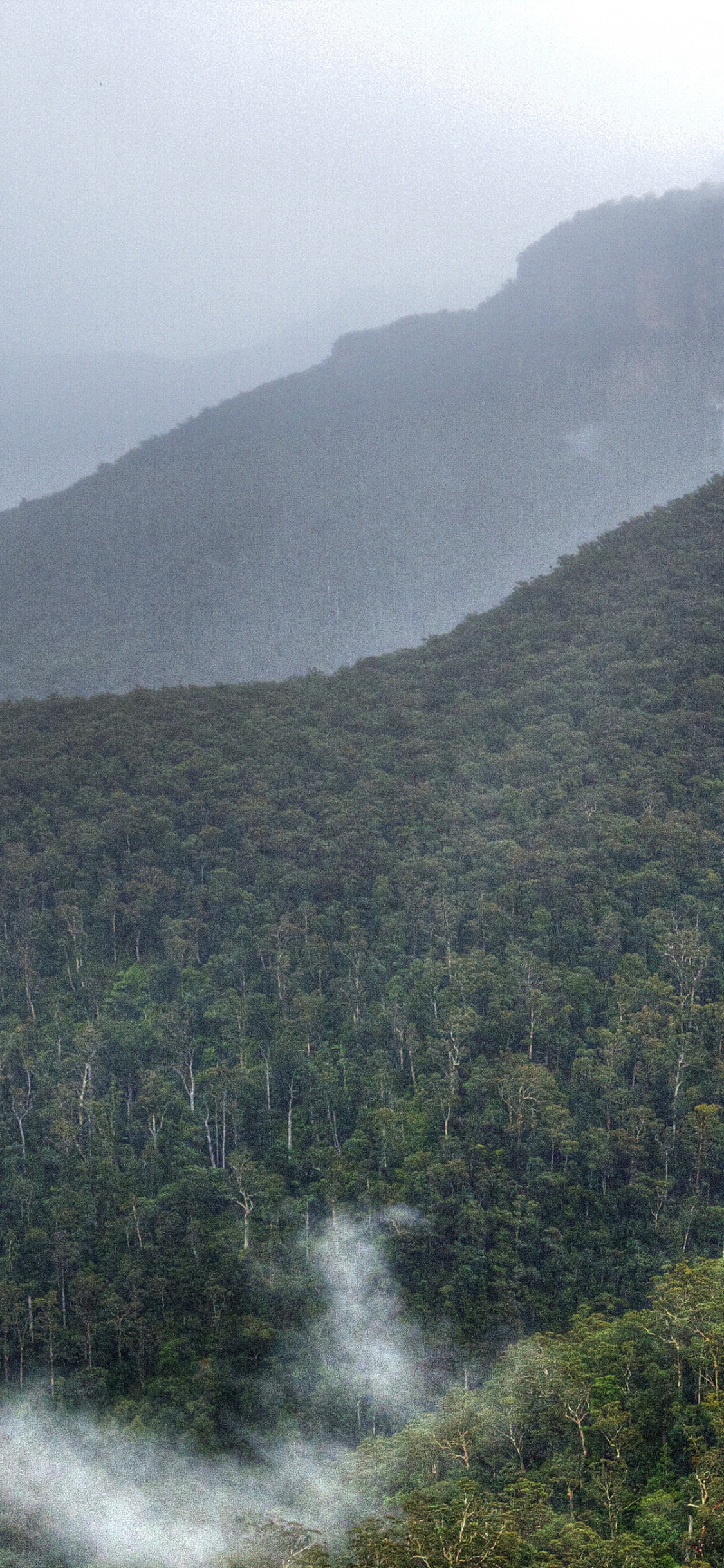 Person Standing on Rock Formation Near Green Trees During Daytime. Wallpaper in 1125x2436 Resolution