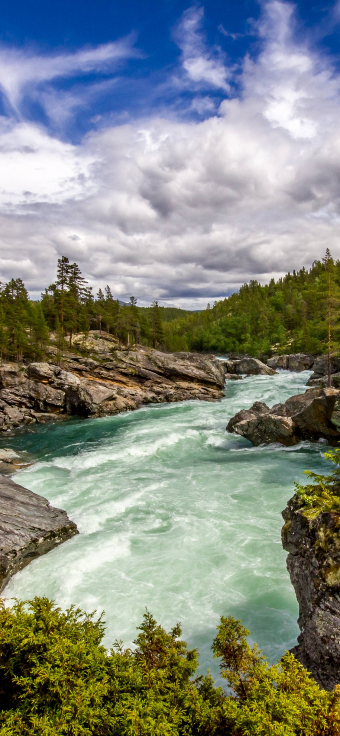 Grüne Bäume Neben Dem Fluss Unter Blauem Himmel Tagsüber. Wallpaper in 1125x2436 Resolution