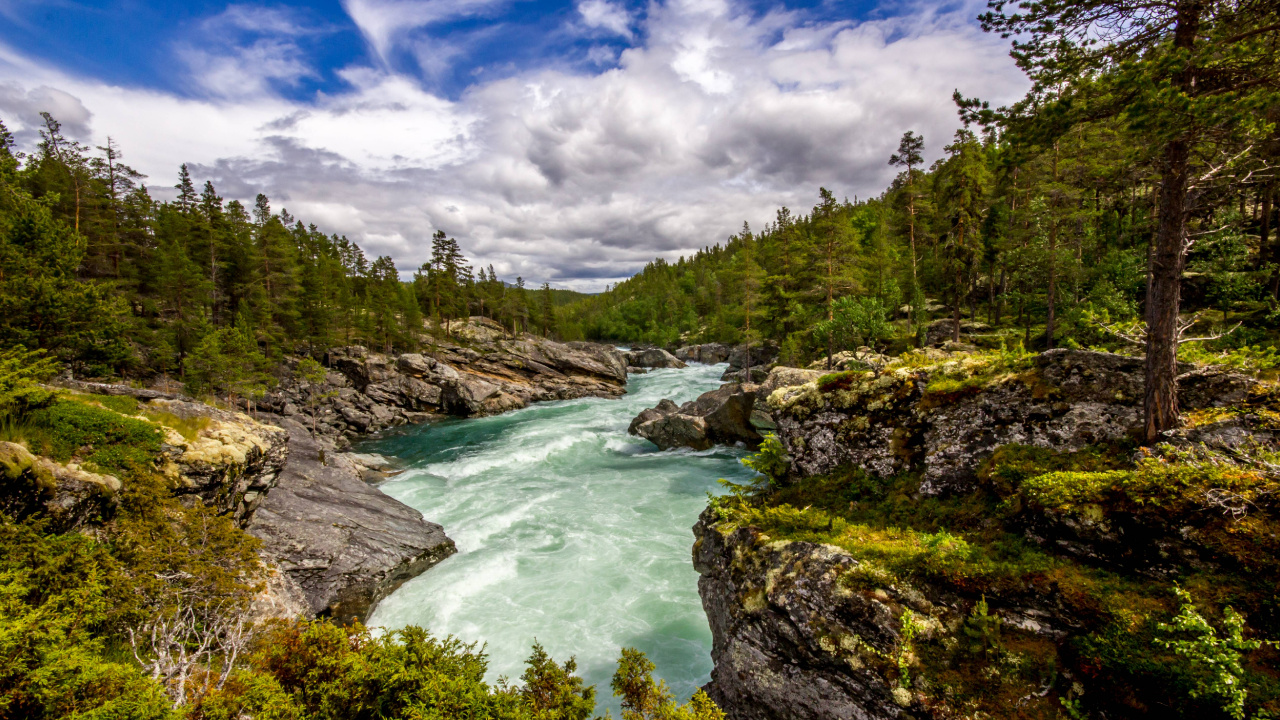 Grüne Bäume Neben Dem Fluss Unter Blauem Himmel Tagsüber. Wallpaper in 1280x720 Resolution