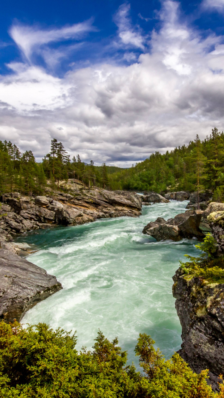 Grüne Bäume Neben Dem Fluss Unter Blauem Himmel Tagsüber. Wallpaper in 750x1334 Resolution