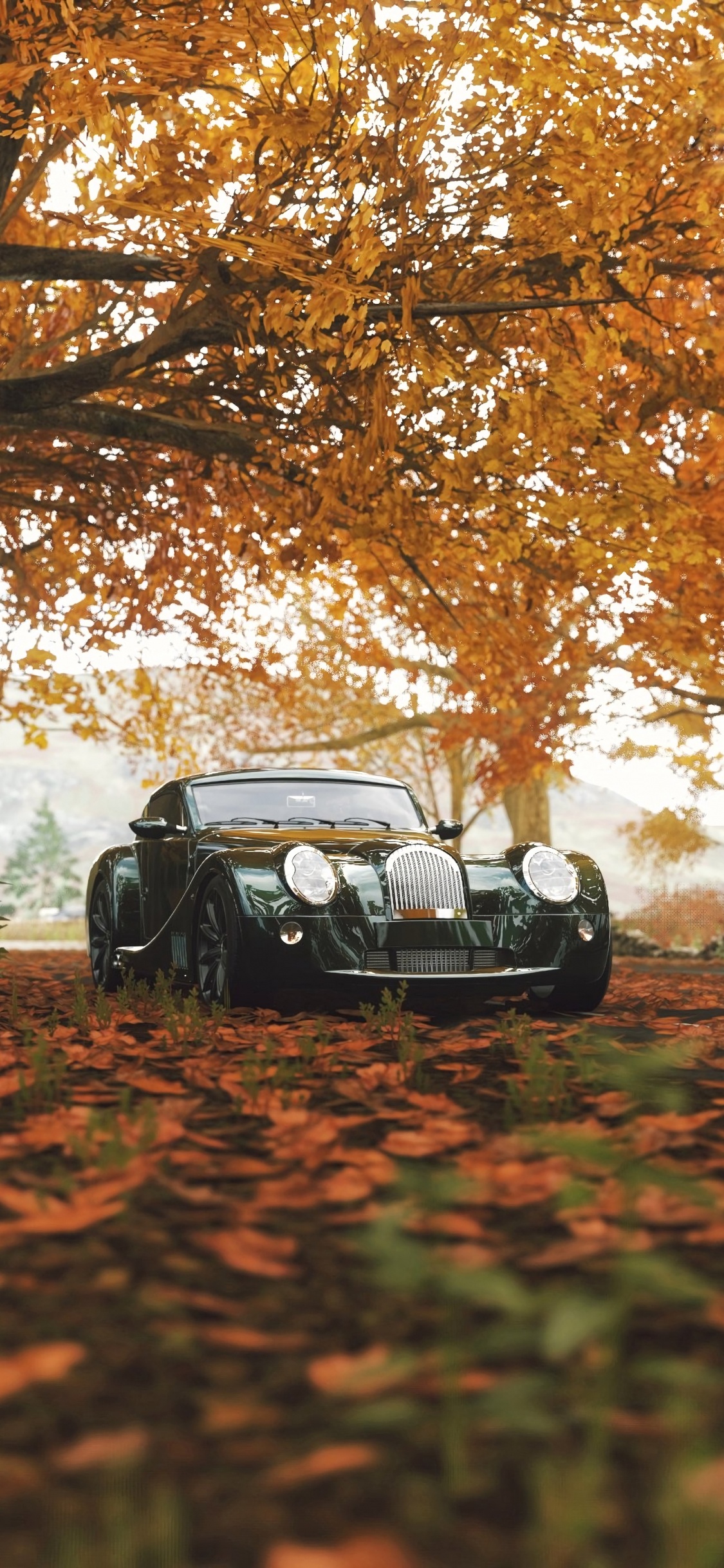 Coche de Época Negra en Campo de Hierba Verde y Marrón Durante el Día. Wallpaper in 1125x2436 Resolution