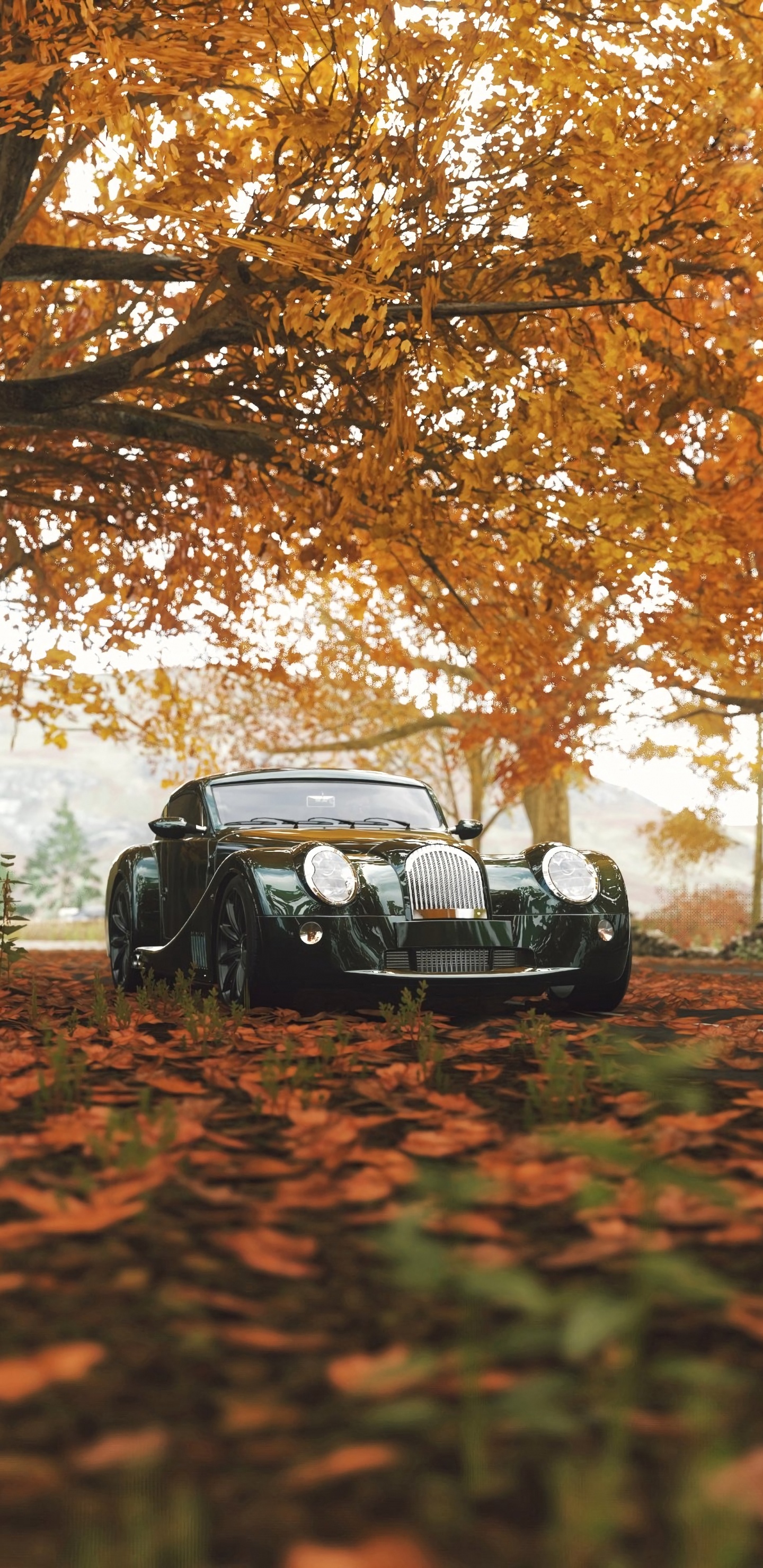 Black Vintage Car on Brown and Green Grass Field During Daytime. Wallpaper in 1440x2960 Resolution