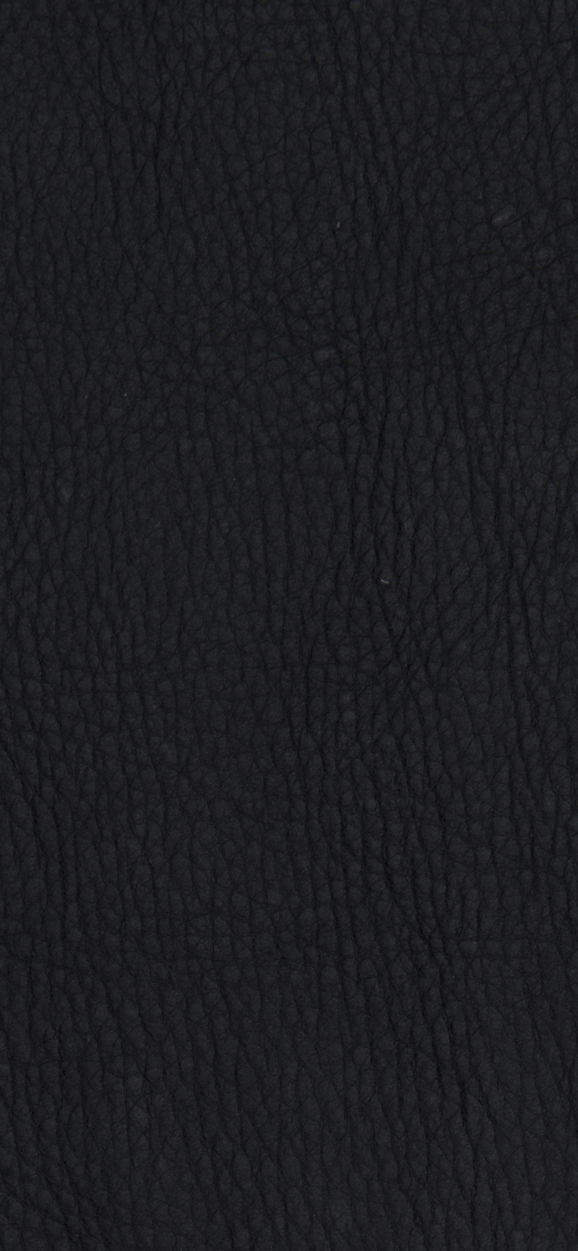 黑色的, 天空, T恤, 夹克, 皮毛 壁纸 1125x2436 允许