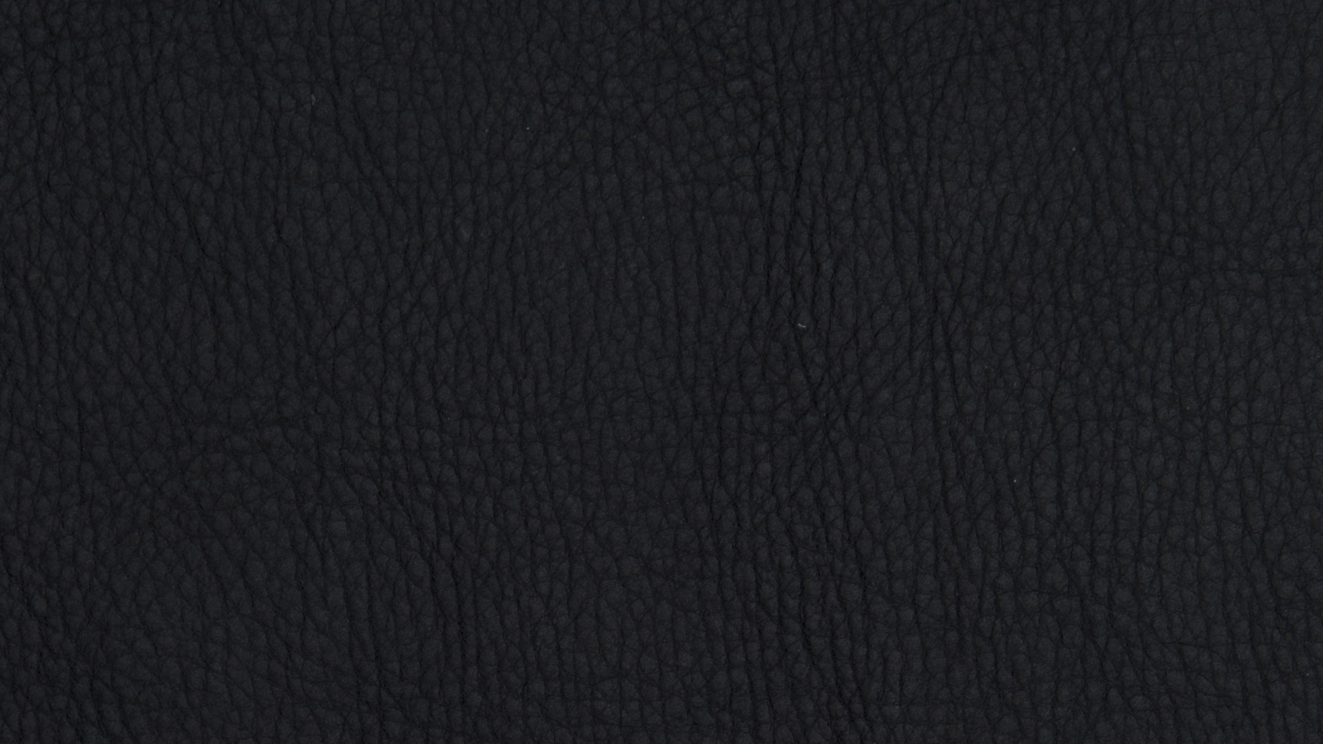 黑色的, 天空, T恤, 夹克, 皮毛 壁纸 1920x1080 允许