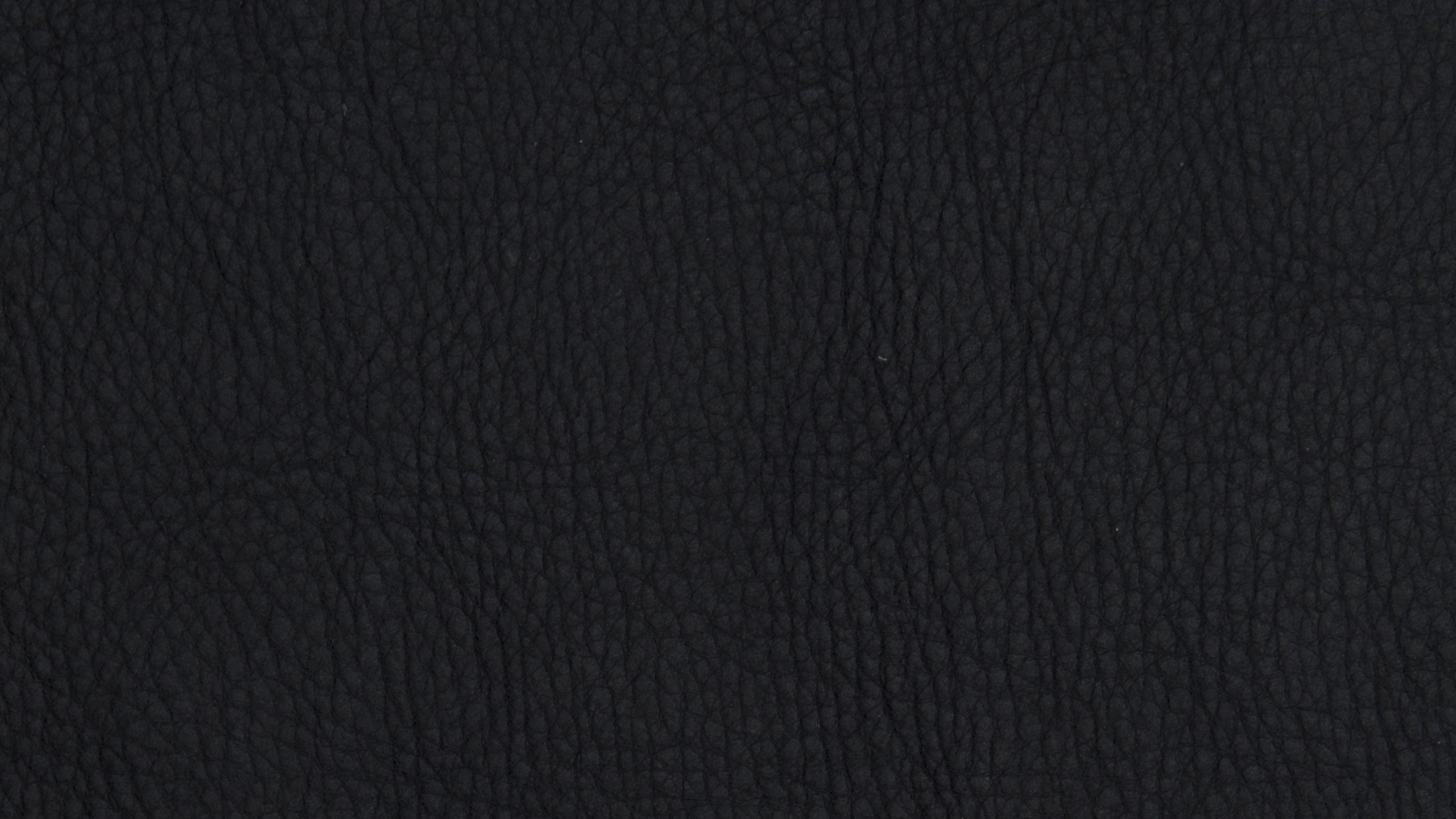 黑色的, 天空, T恤, 夹克, 皮毛 壁纸 2560x1440 允许