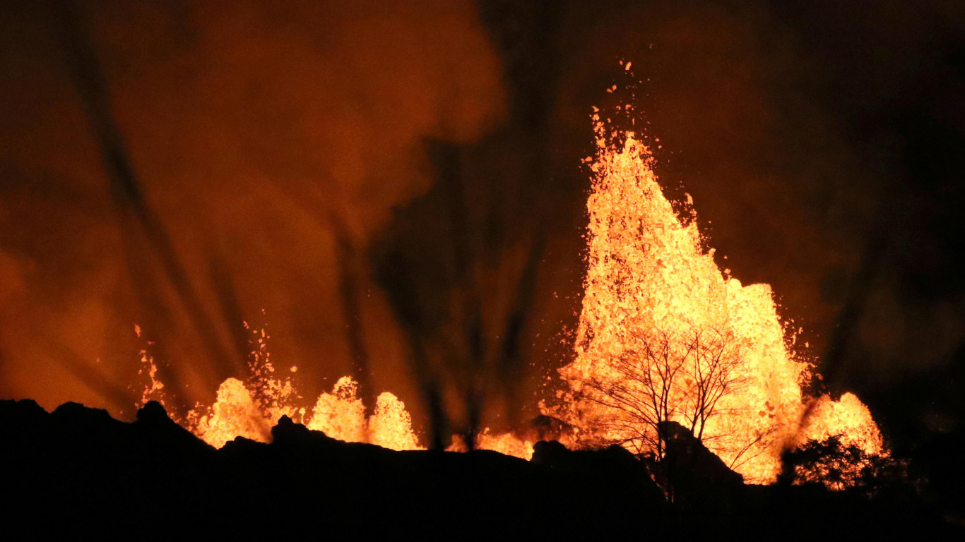 Silhouette D'arbres Pendant la Nuit. Wallpaper in 1366x768 Resolution