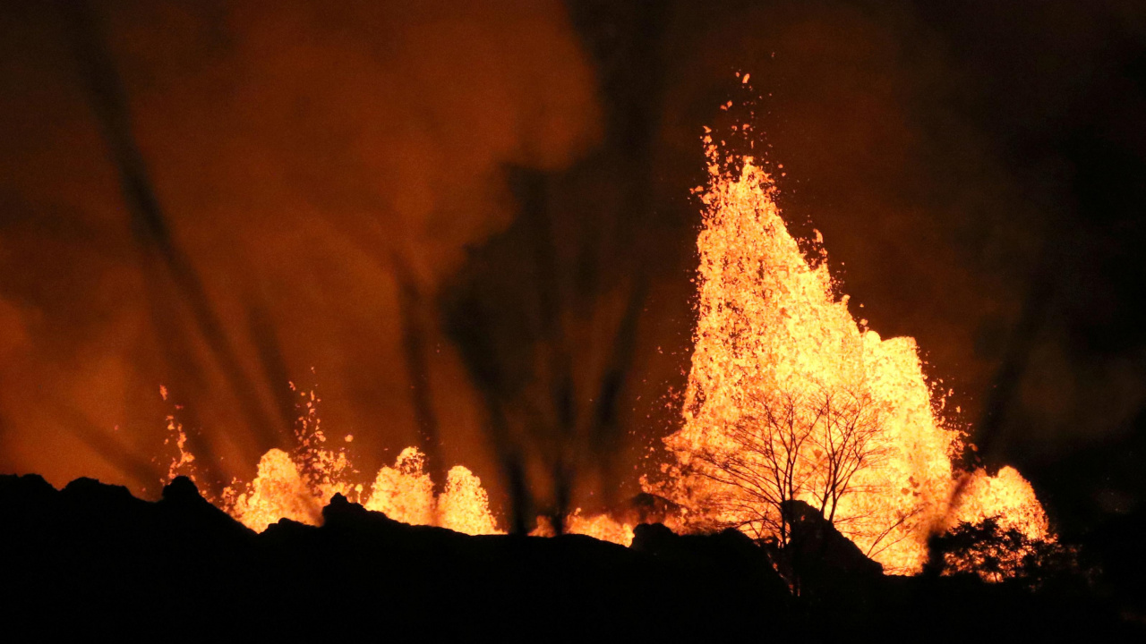 Silueta de Árboles Durante la Noche. Wallpaper in 1280x720 Resolution