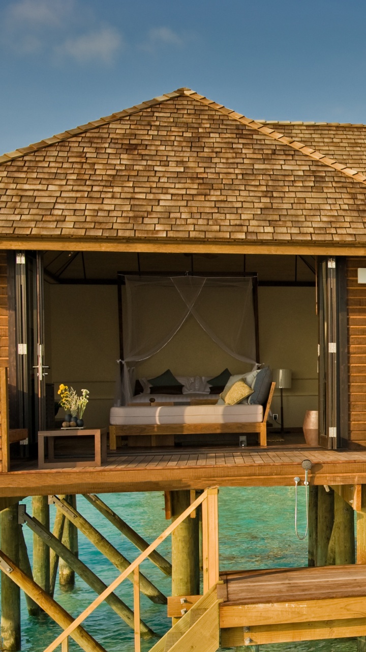 Green Potted Plant on Brown Wooden Table. Wallpaper in 720x1280 Resolution