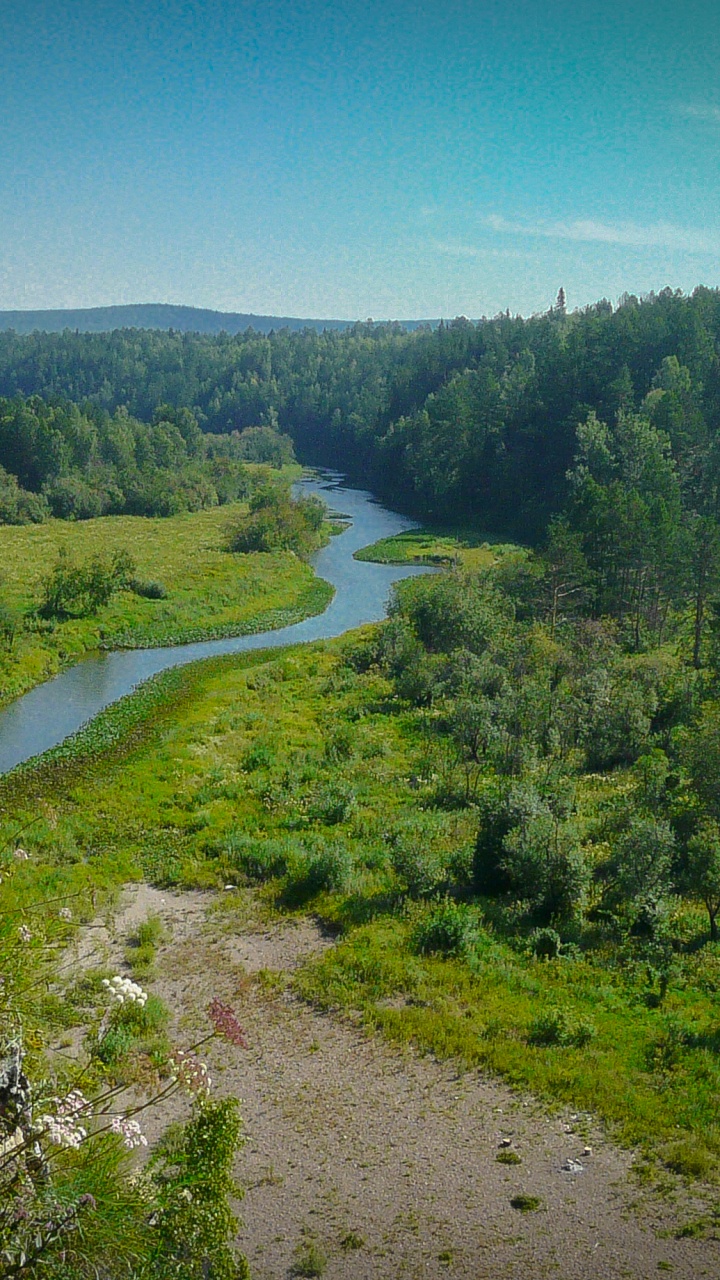 Green Trees and River During Daytime. Wallpaper in 720x1280 Resolution