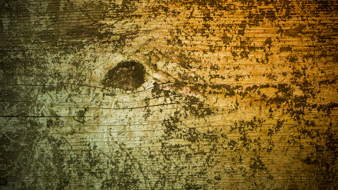 Pintura Abstracta Marrón y Negra. Wallpaper in 1366x768 Resolution