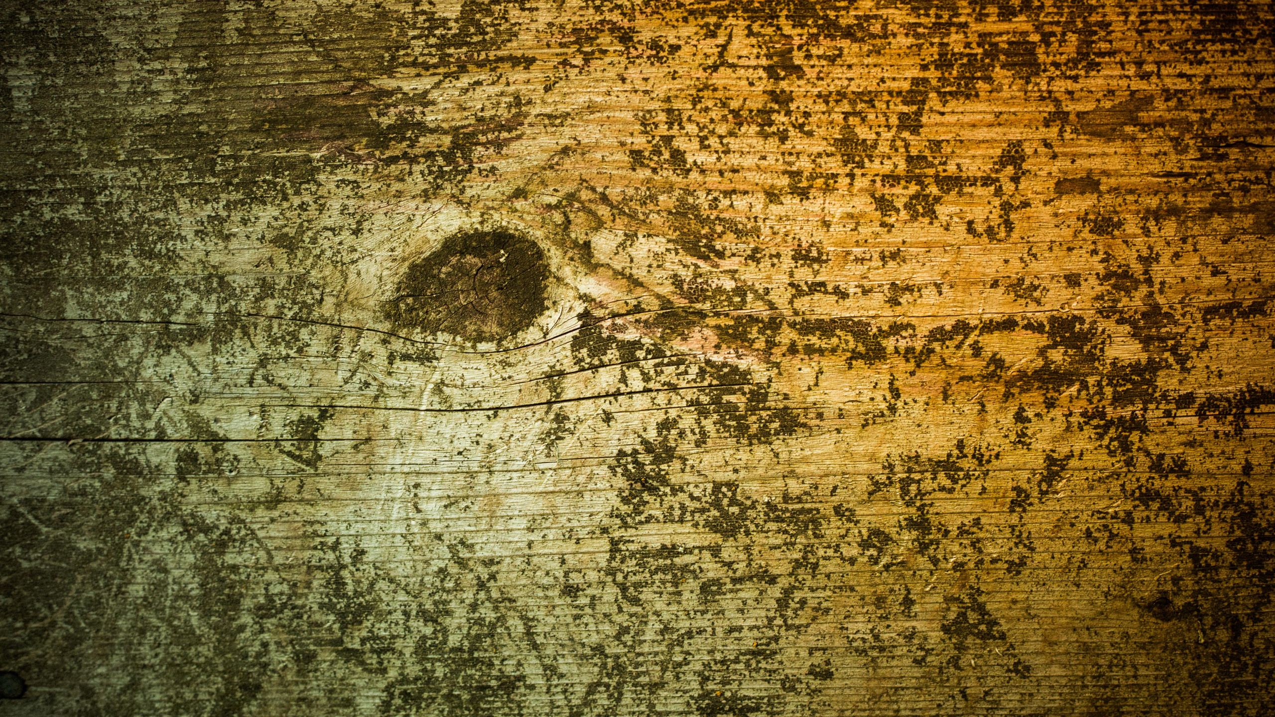 Pintura Abstracta Marrón y Negra. Wallpaper in 2560x1440 Resolution