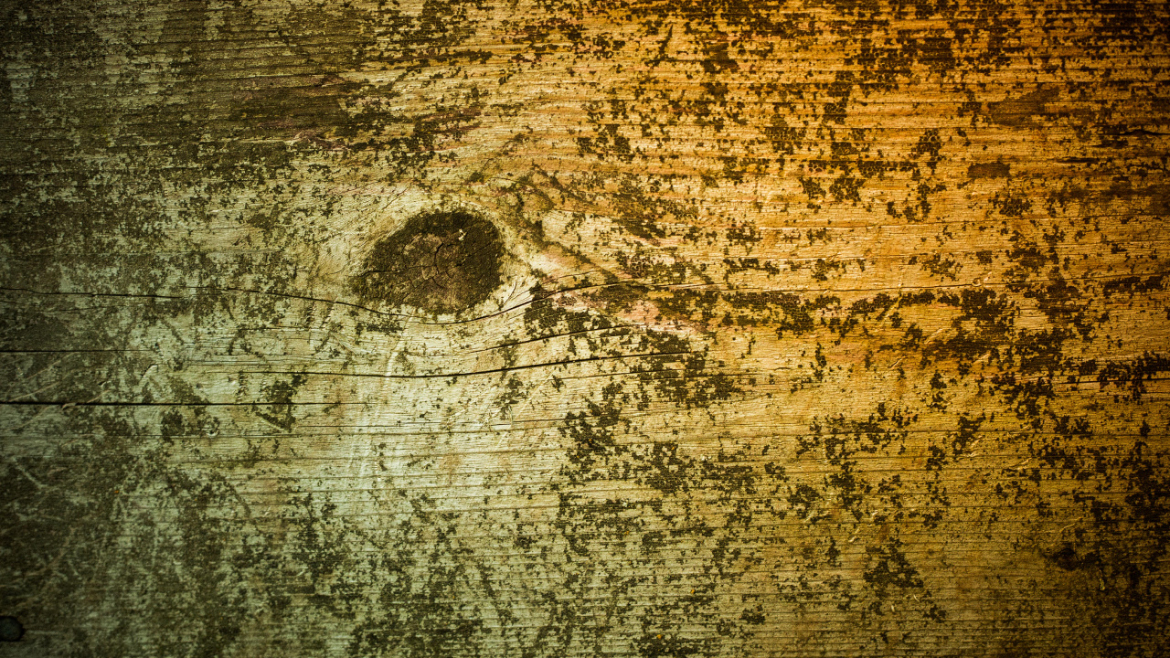 Peinture Abstraite Brune et Noire. Wallpaper in 1280x720 Resolution