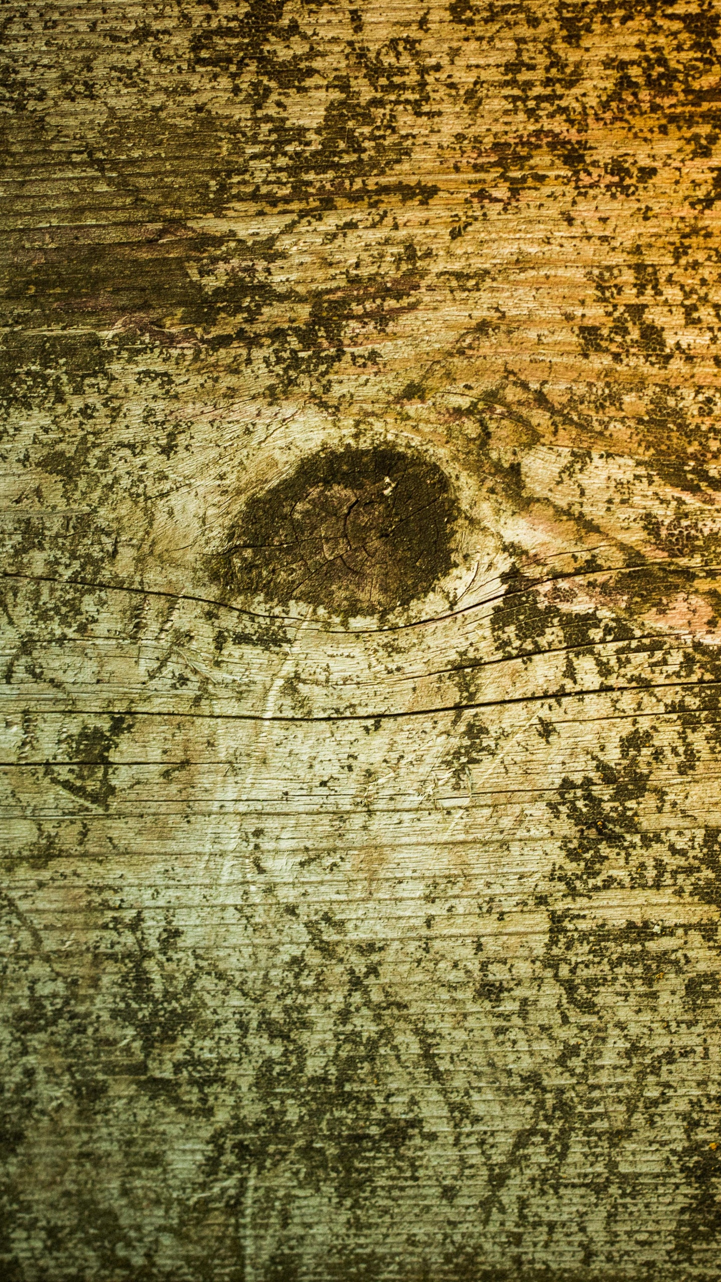 Peinture Abstraite Brune et Noire. Wallpaper in 1440x2560 Resolution