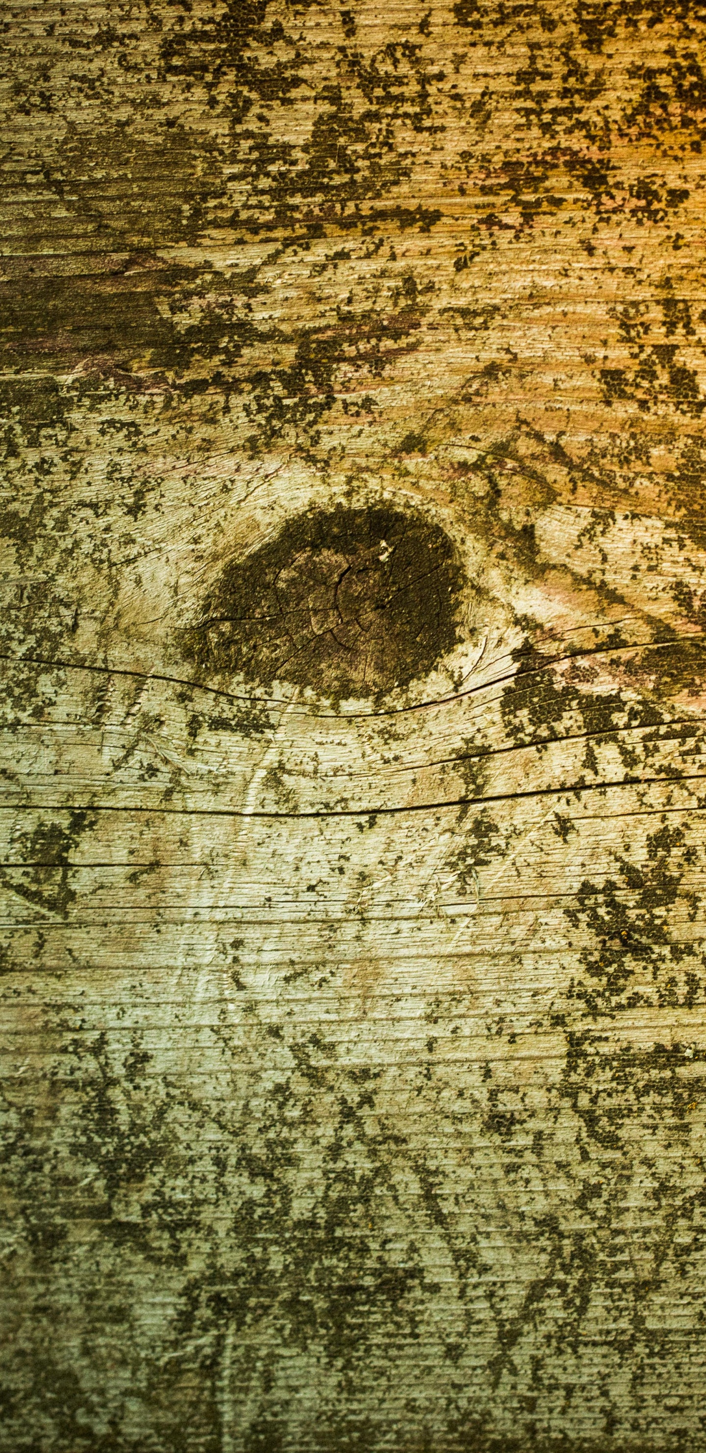 Peinture Abstraite Brune et Noire. Wallpaper in 1440x2960 Resolution