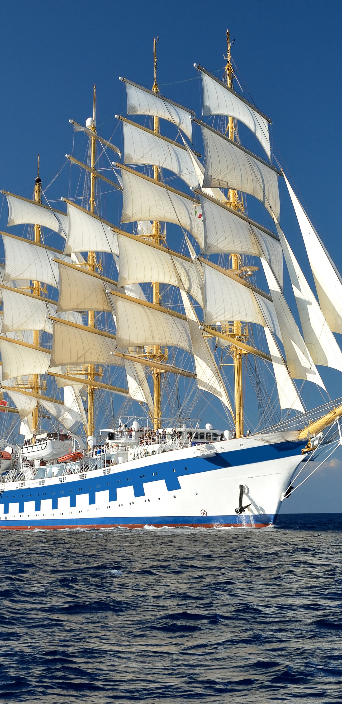 游船, 水运, 高船, Barquentine, 帆船 壁纸 1440x2960 允许