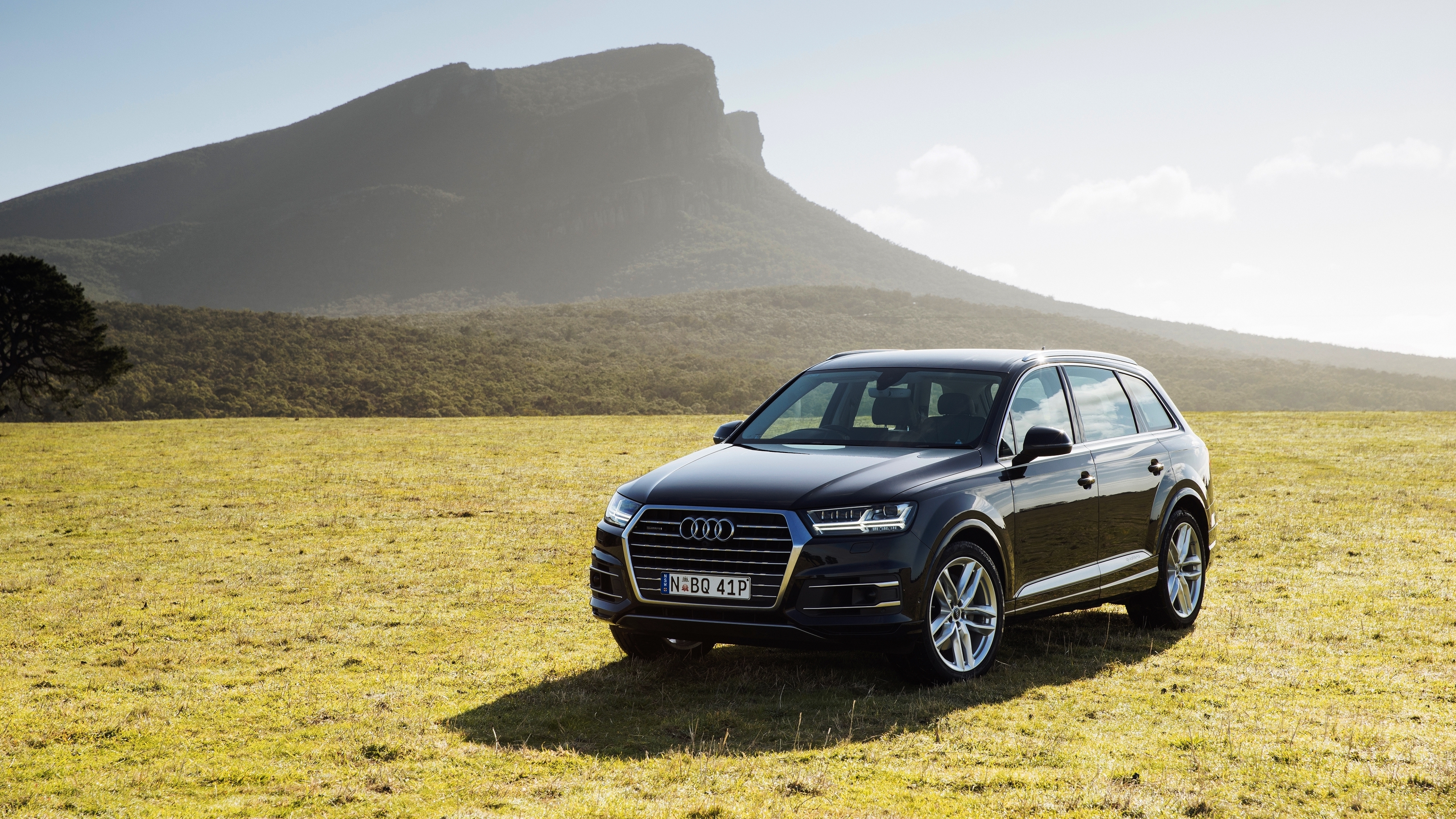 Black Audi a 4 on Green Grass Field. Wallpaper in 3840x2160 Resolution