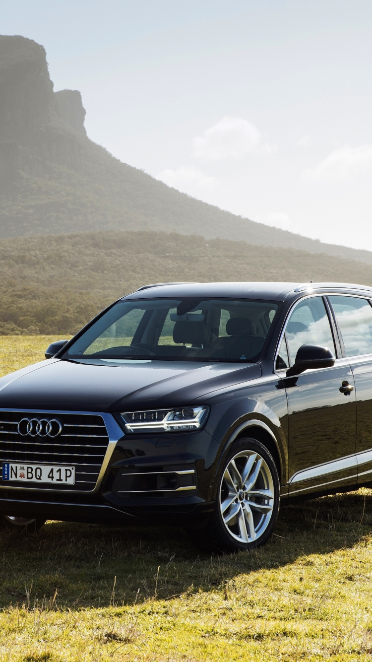 Audi a 4 Negro en Campo de Hierba Verde. Wallpaper in 750x1334 Resolution