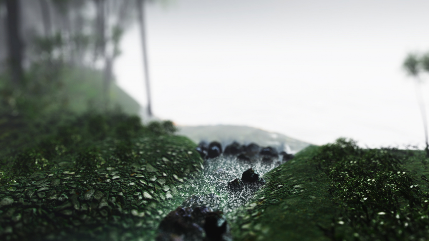 Grünes Moos Auf Felsen in Der Nähe Von Gewässern Tagsüber. Wallpaper in 1366x768 Resolution