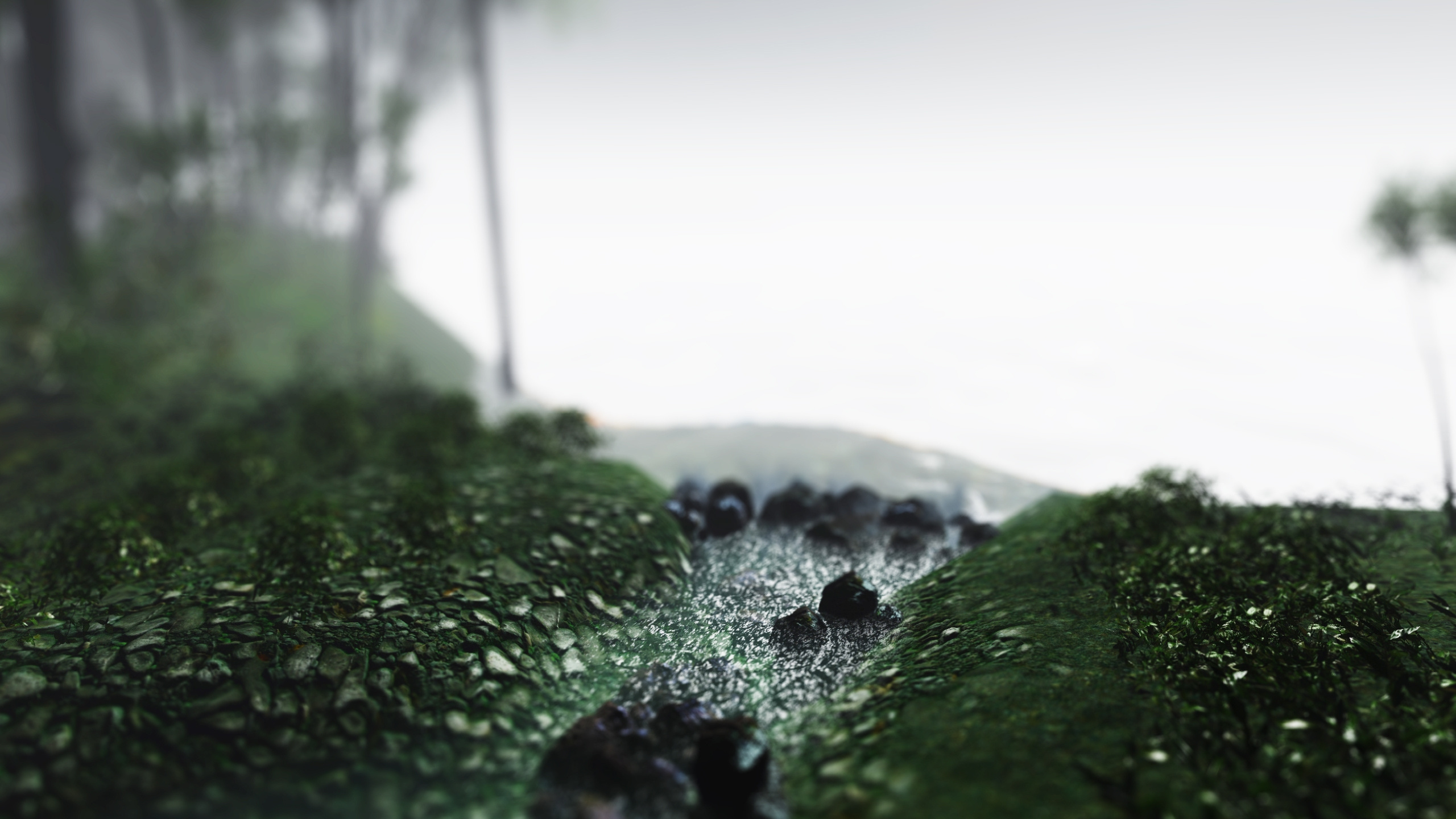 Green Moss on Rock Near Body of Water During Daytime. Wallpaper in 2560x1440 Resolution