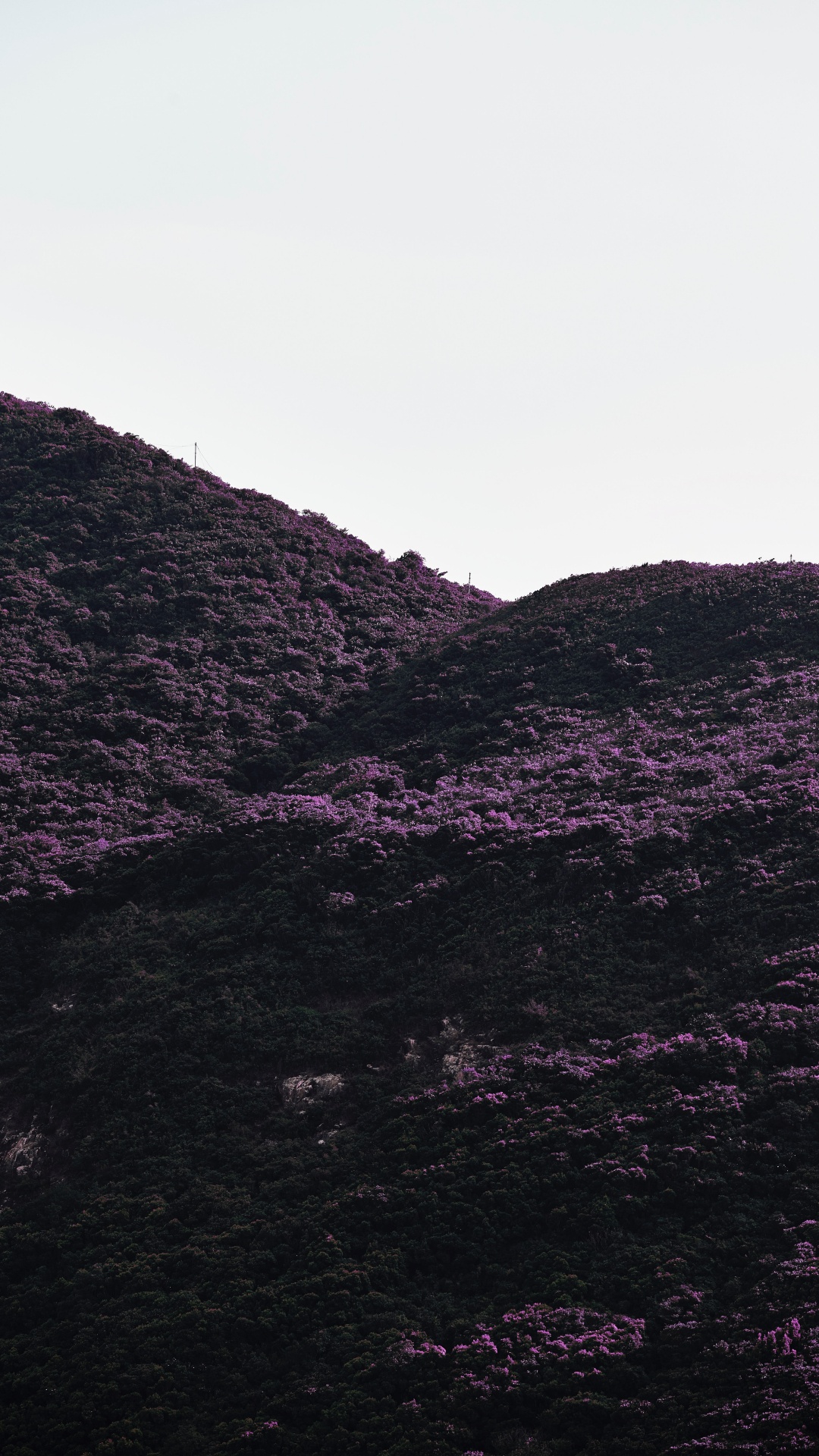 Negro, Morado, Highland, Las Formaciones Montañosas, Violeta. Wallpaper in 1080x1920 Resolution