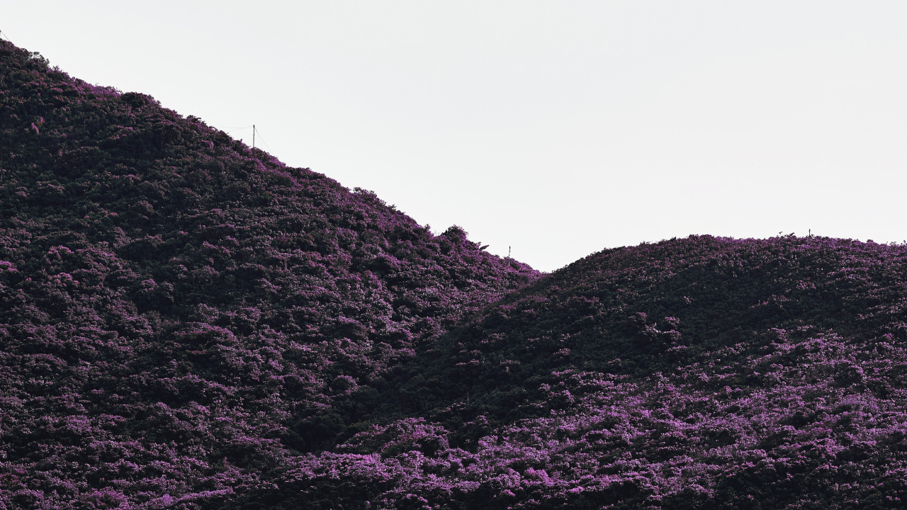 Noir, Purple, Highland, Les Reliefs Montagneux, Violette. Wallpaper in 1280x720 Resolution