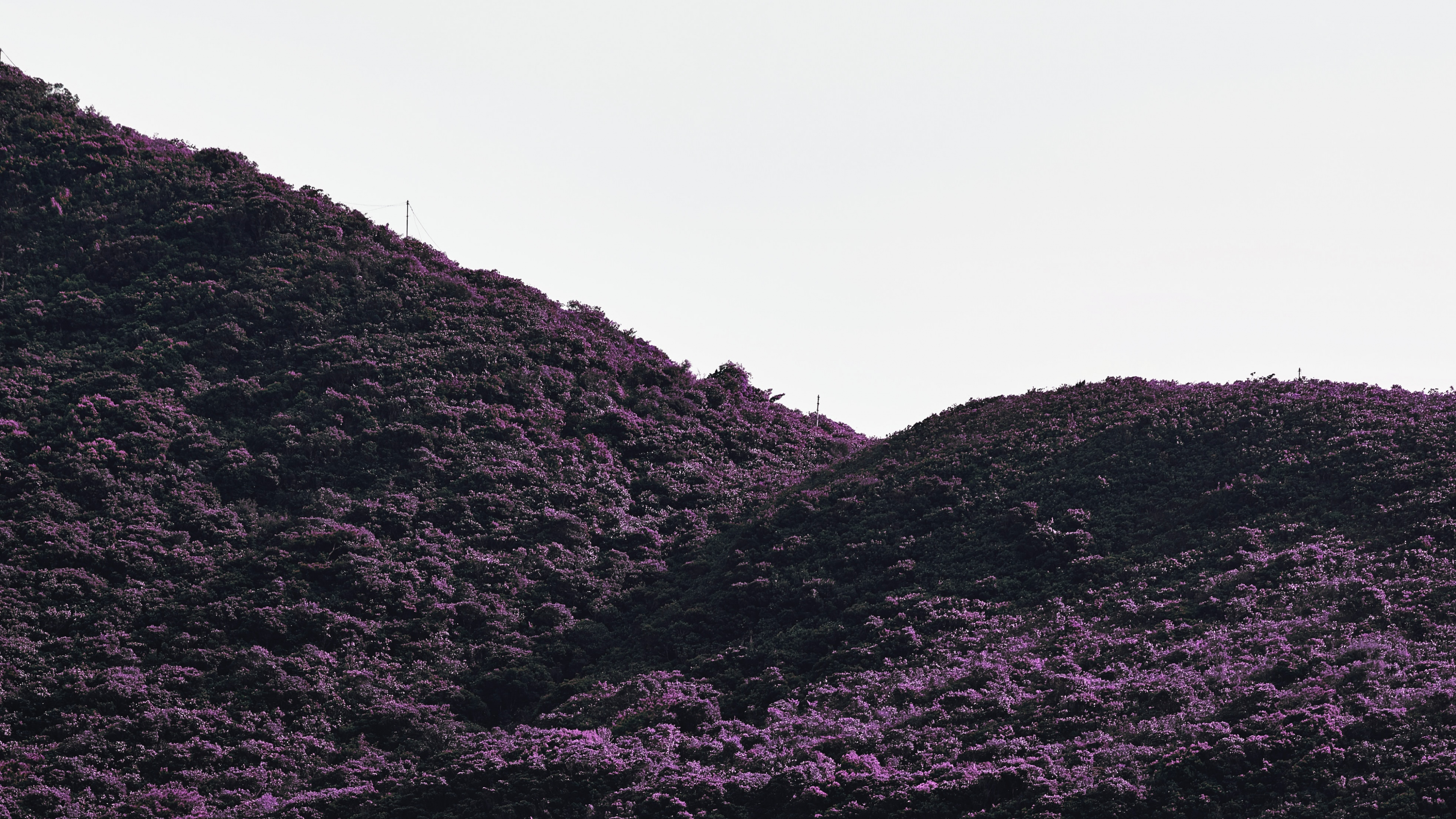 Noir, Purple, Highland, Les Reliefs Montagneux, Violette. Wallpaper in 3840x2160 Resolution