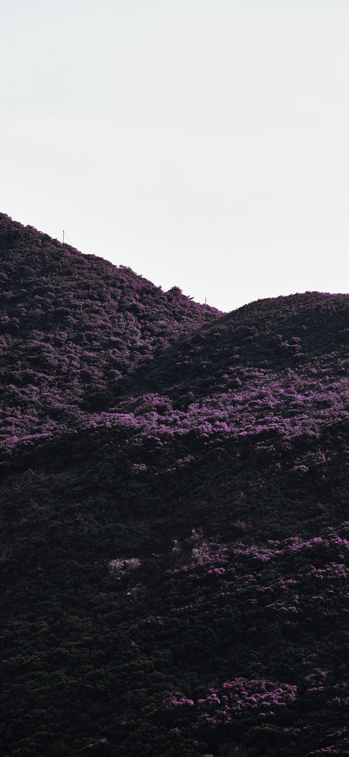 Black, Purple, Highland, Mountainous Landforms, Violet. Wallpaper in 1125x2436 Resolution