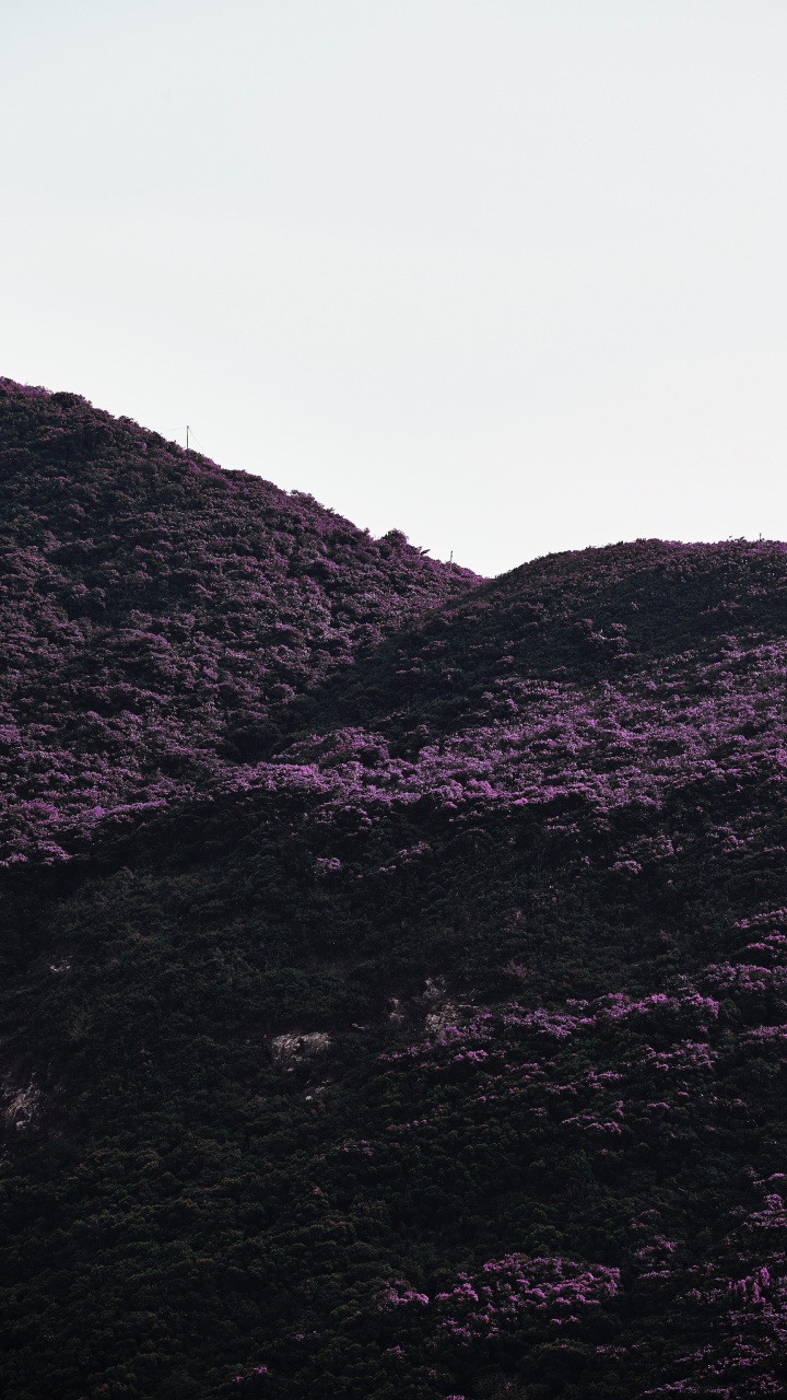 Black, Purple, Highland, Mountainous Landforms, Violet. Wallpaper in 720x1280 Resolution