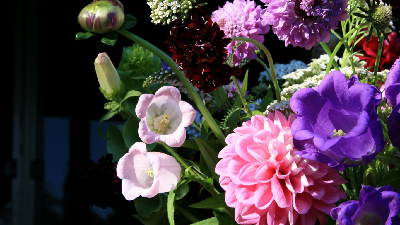 Fleurs Roses et Blanches Avec Des Feuilles Vertes. Wallpaper in 1366x768 Resolution